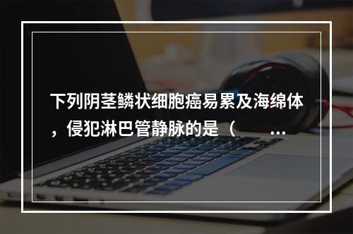 下列阴茎鳞状细胞癌易累及海绵体，侵犯淋巴管静脉的是（　　）