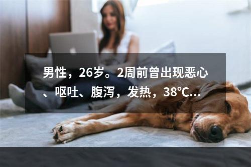 男性，26岁。2周前曾出现恶心、呕吐、腹泻，发热，38℃。近