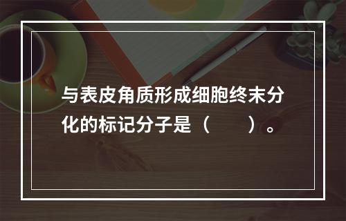 与表皮角质形成细胞终末分化的标记分子是（　　）。