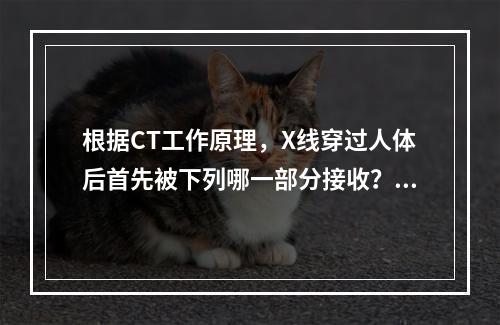 根据CT工作原理，X线穿过人体后首先被下列哪一部分接收？（　