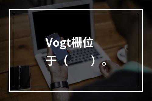 Vogt栅位于（　　）。