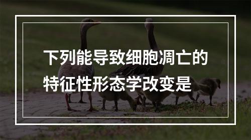 下列能导致细胞凋亡的特征性形态学改变是