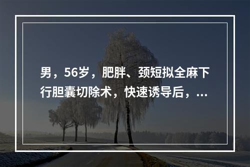 男，56岁，肥胖、颈短拟全麻下行胆囊切除术，快速诱导后，呼