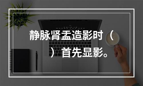 静脉肾盂造影时（　　）首先显影。