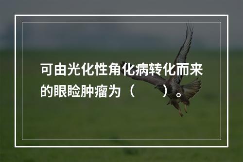 可由光化性角化病转化而来的眼睑肿瘤为（　　）。