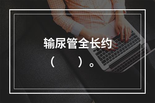 输尿管全长约（　　）。