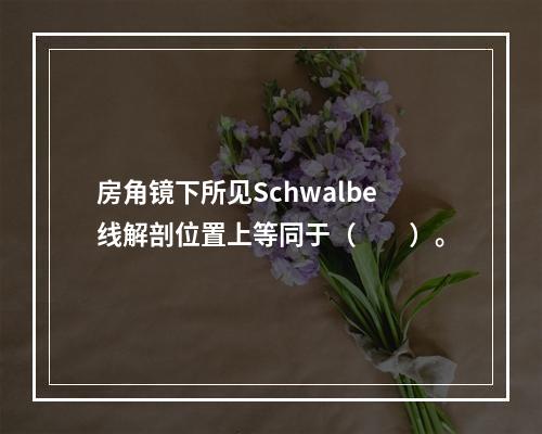 房角镜下所见Schwalbe线解剖位置上等同于（　　）。