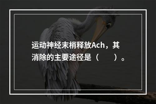 运动神经末梢释放Ach，其消除的主要途径是（　　）。