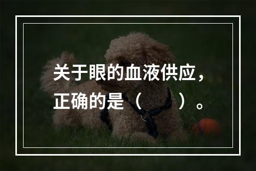 关于眼的血液供应，正确的是（　　）。