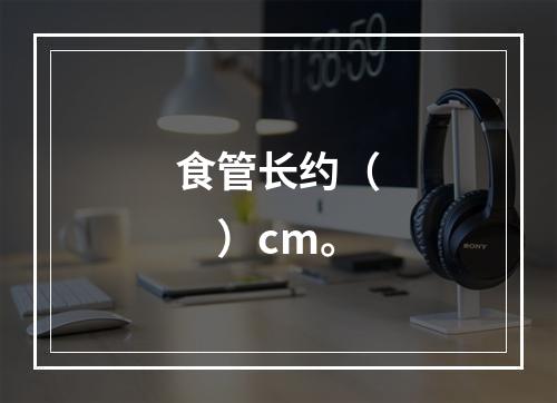 食管长约（　　）cm。