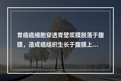 胃癌癌细胞穿透胃壁浆膜脱落于腹膜，造成癌组织生长于腹膜上，