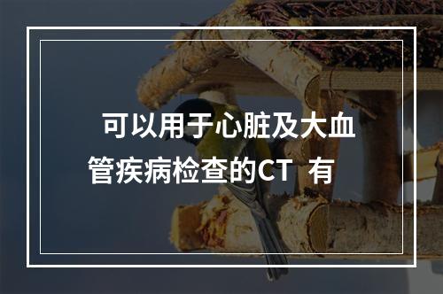  可以用于心脏及大血管疾病检查的CT 有