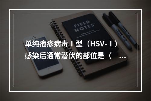 单纯疱疹病毒Ⅰ型（HSV-Ⅰ）感染后通常潜伏的部位是（　　）