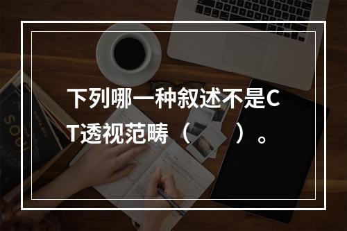 下列哪一种叙述不是CT透视范畴（　　）。