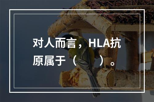 对人而言，HLA抗原属于（　　）。