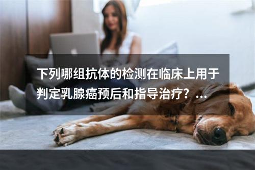 下列哪组抗体的检测在临床上用于判定乳腺癌预后和指导治疗？（