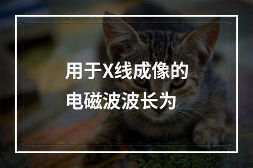 用于X线成像的电磁波波长为