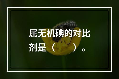 属无机碘的对比剂是（　　）。