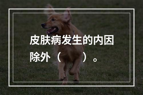 皮肤病发生的内因除外（　　）。