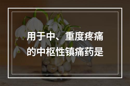 用于中、重度疼痛的中枢性镇痛药是