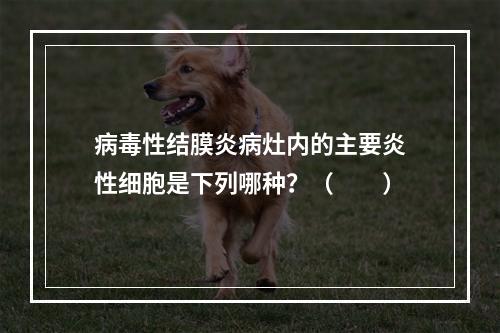 病毒性结膜炎病灶内的主要炎性细胞是下列哪种？（　　）