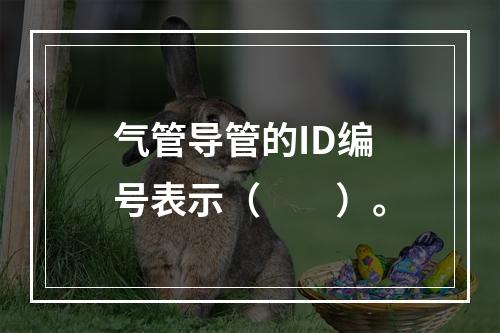 气管导管的ID编号表示（　　）。