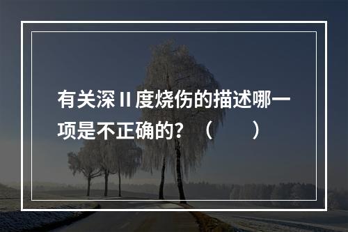 有关深Ⅱ度烧伤的描述哪一项是不正确的？（　　）