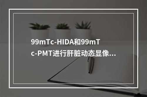 99mTc-HIDA和99mTc-PMT进行肝脏动态显像的