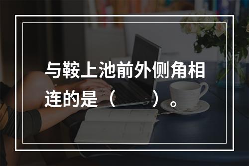 与鞍上池前外侧角相连的是（　　）。