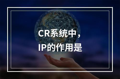 CR系统中，IP的作用是