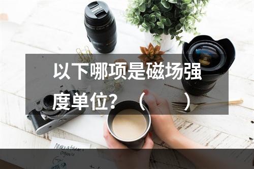 以下哪项是磁场强度单位？（　　）