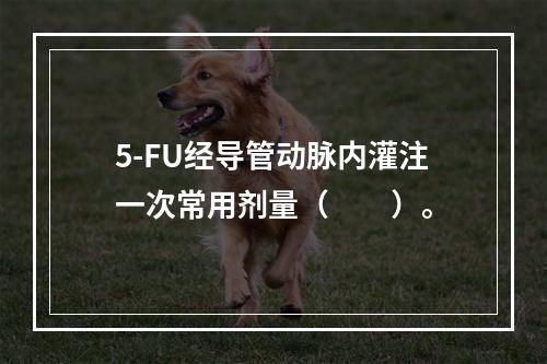 5-FU经导管动脉内灌注一次常用剂量（　　）。