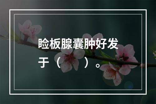 睑板腺囊肿好发于（　　）。