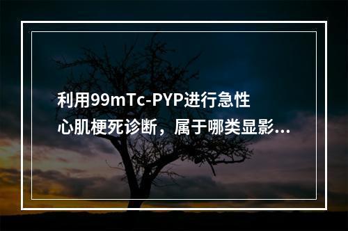 利用99mTc-PYP进行急性心肌梗死诊断，属于哪类显影？