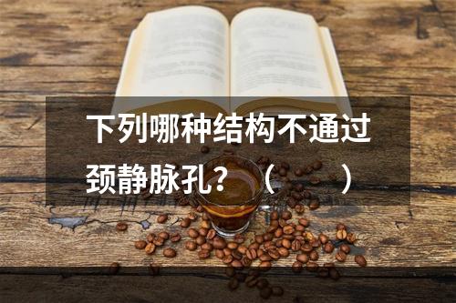 下列哪种结构不通过颈静脉孔？（　　）