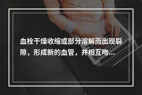 血栓干燥收缩或部分溶解而出现裂隙，形成新的血管，并相互吻合沟