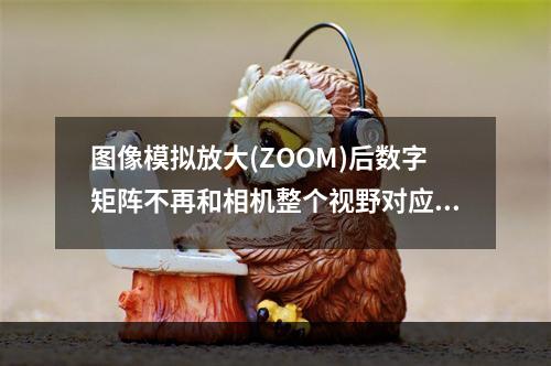 图像模拟放大(ZOOM)后数字矩阵不再和相机整个视野对应；