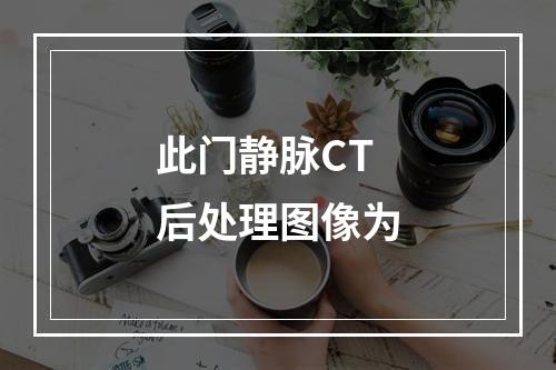 此门静脉CT后处理图像为