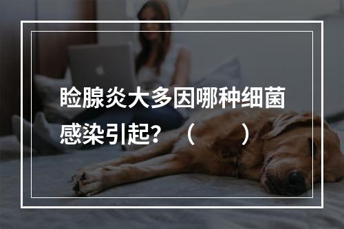 睑腺炎大多因哪种细菌感染引起？（　　）