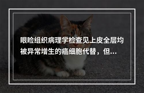 眼睑组织病理学检查见上皮全层均被异常增生的癌细胞代替，但未突