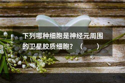 下列哪种细胞是神经元周围的卫星胶质细胞？（　　）