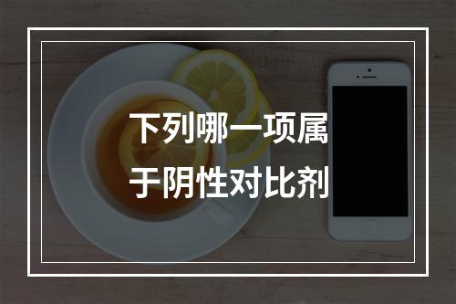 下列哪一项属于阴性对比剂