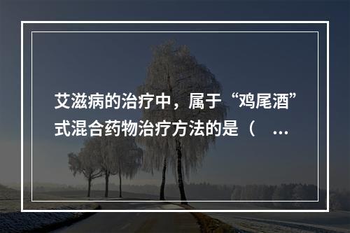 艾滋病的治疗中，属于“鸡尾酒”式混合药物治疗方法的是（　　）