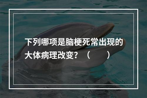 下列哪项是脑梗死常出现的大体病理改变？（　　）