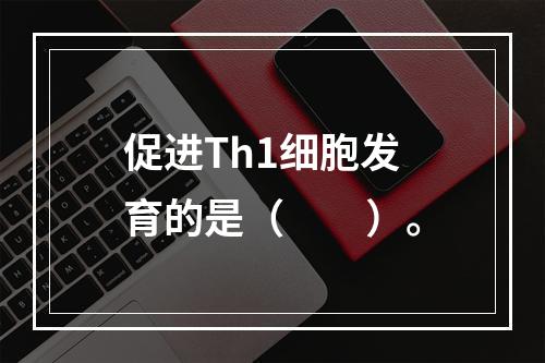 促进Th1细胞发育的是（　　）。