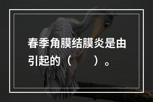 春季角膜结膜炎是由引起的（　　）。