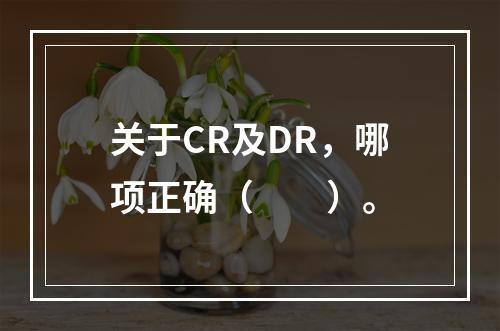 关于CR及DR，哪项正确（　　）。