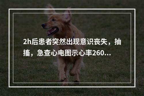 2h后患者突然出现意识丧失，抽搐，急查心电图示心率260次/