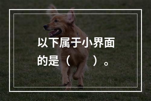 以下属于小界面的是（　　）。