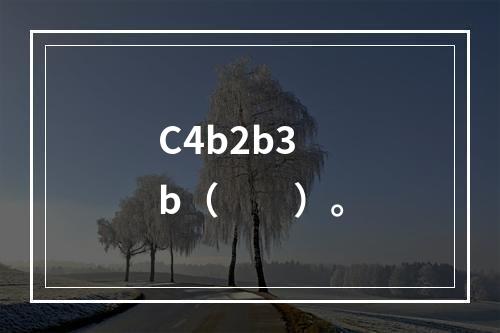 C4b2b3b（　　）。